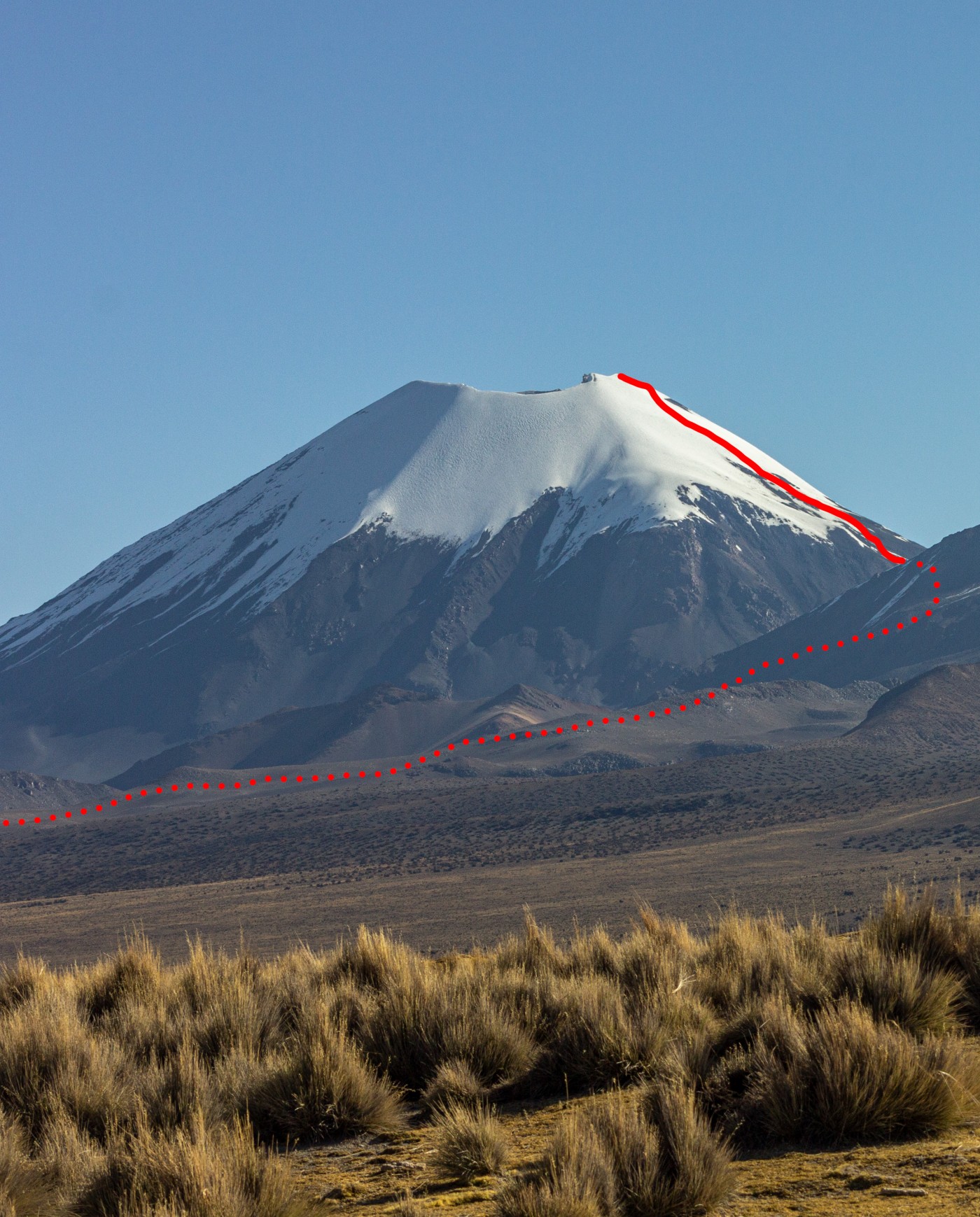 Boliviana por portezuelo
