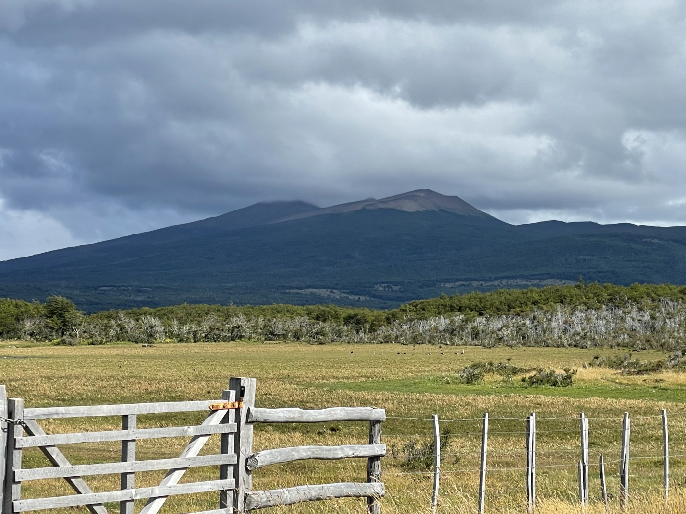Cerro Pelario