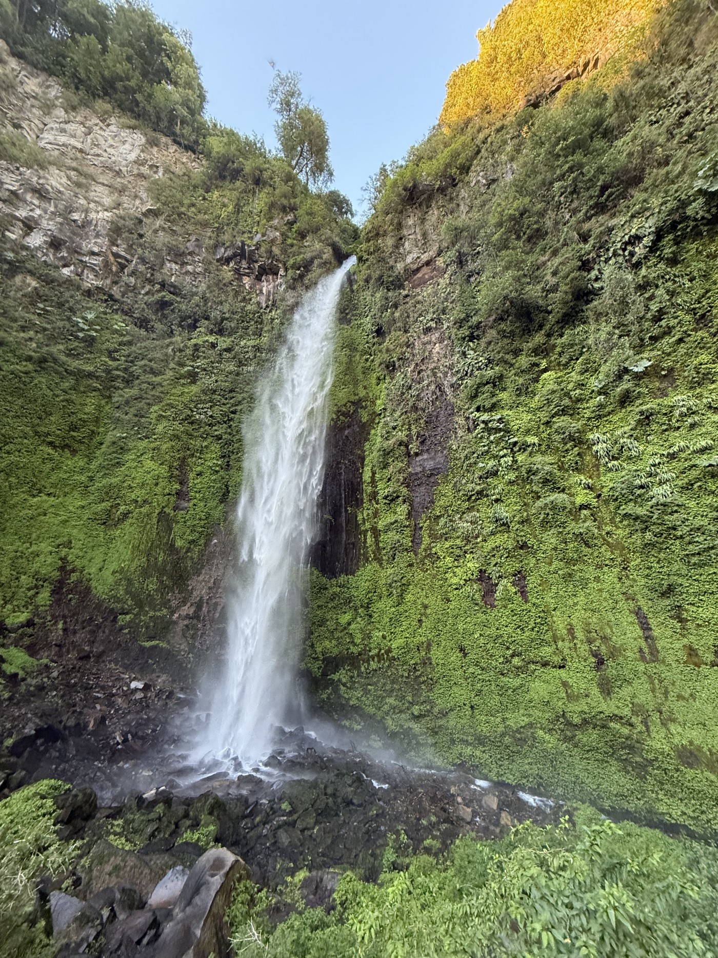 Salto el Canelo