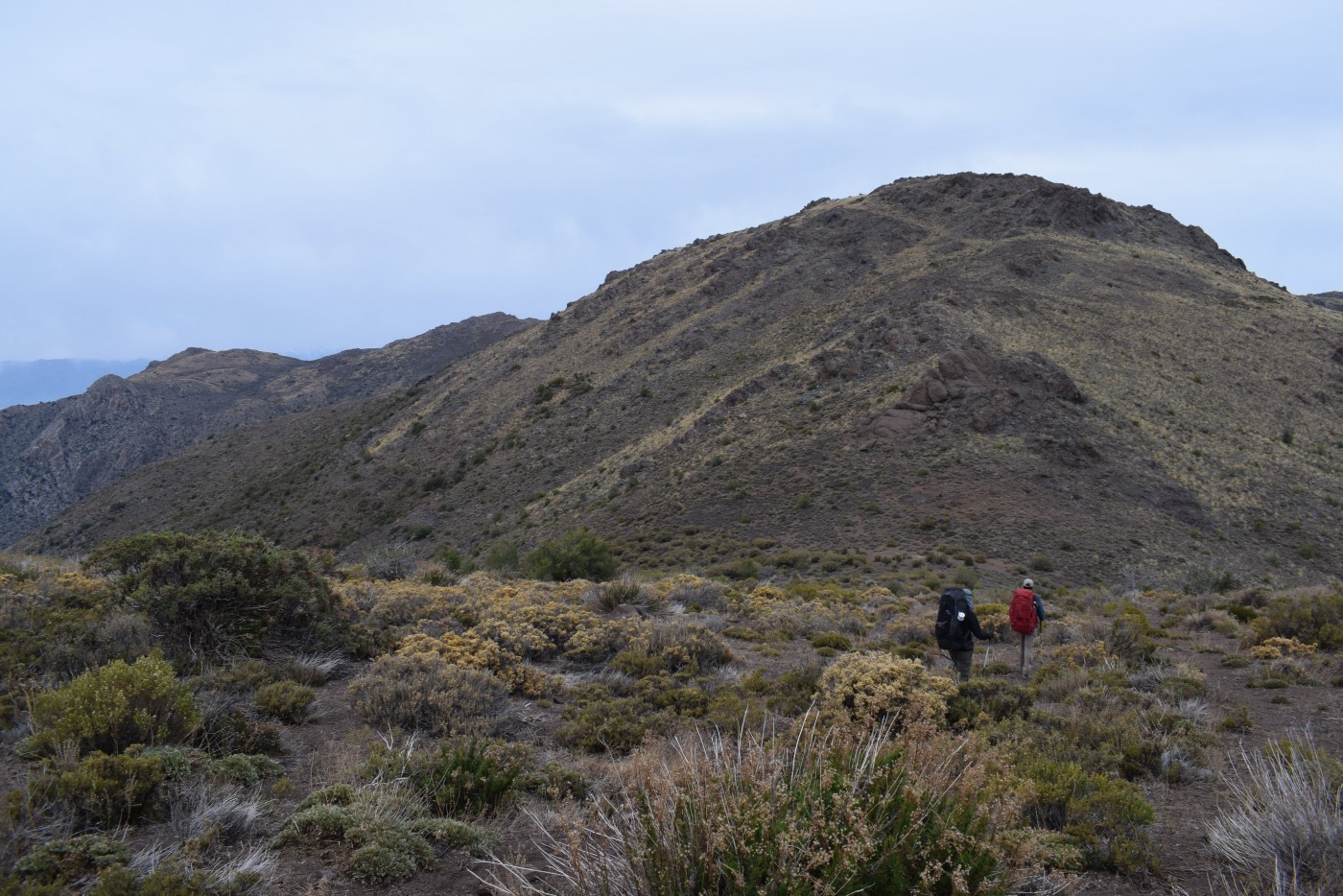 Cerro Llaretas de Vizcachas 