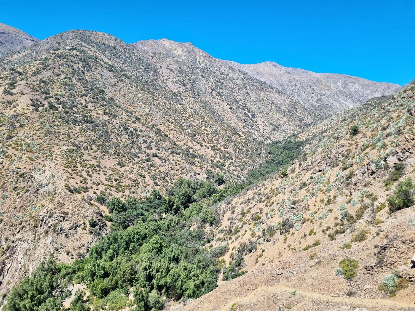 Vallecito