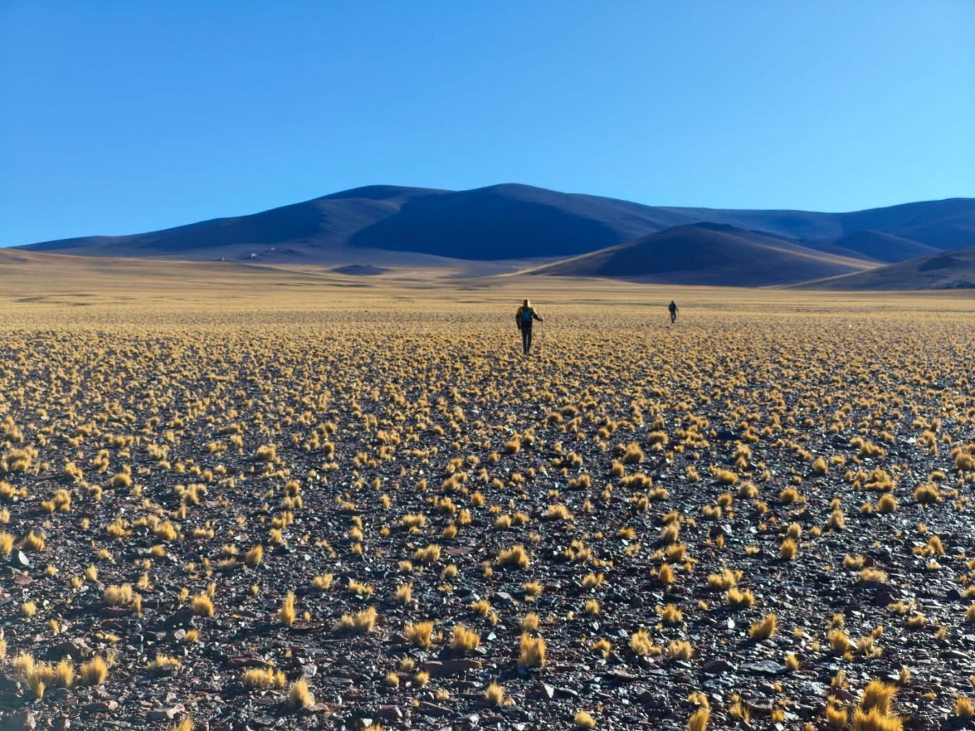 Cerro Morado (La Rioja)