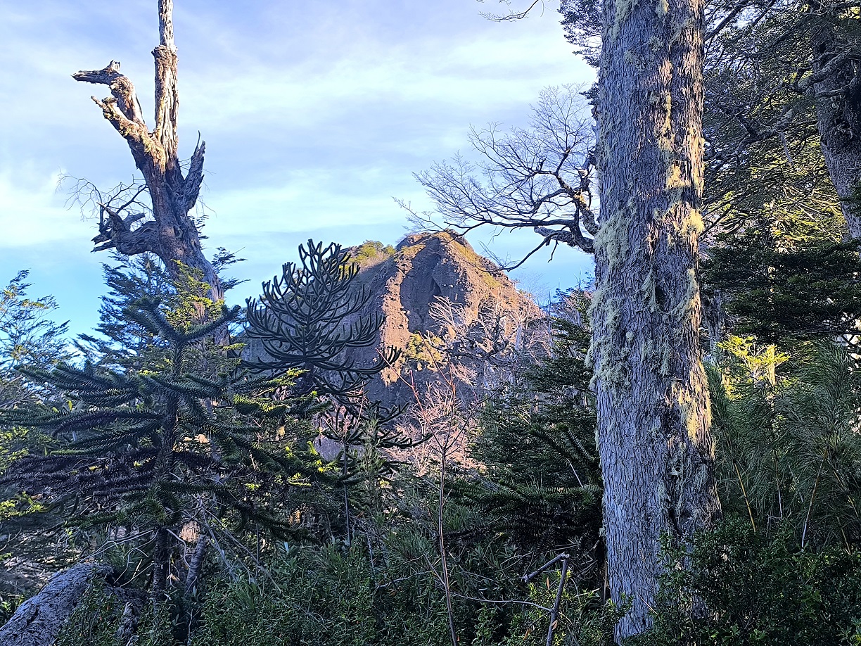 Cerro Los Huevos
