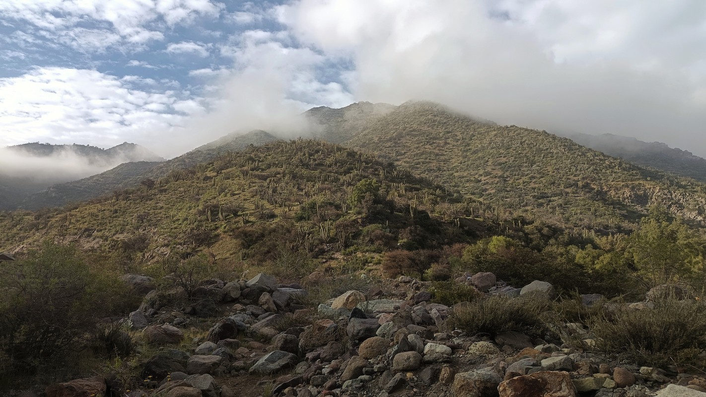 Cerro Covarrubias