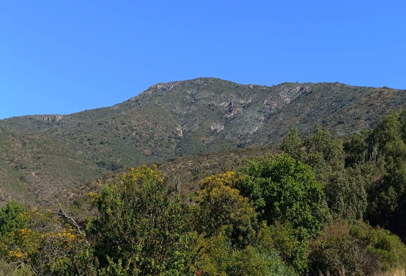 Cerro Palmilla