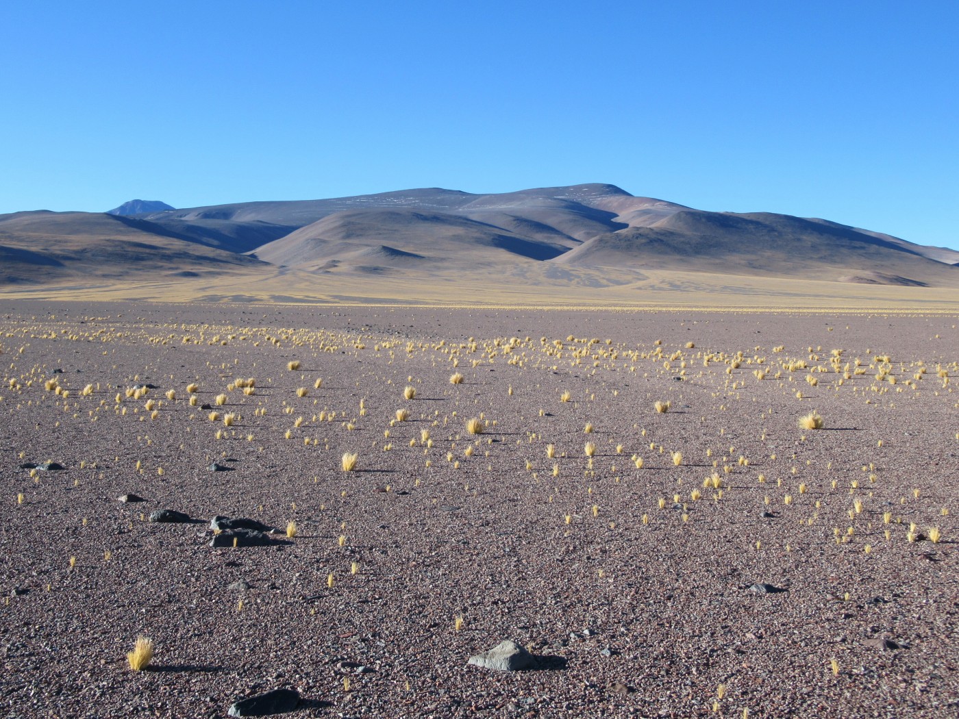 Cerro Ciénaga Redonda