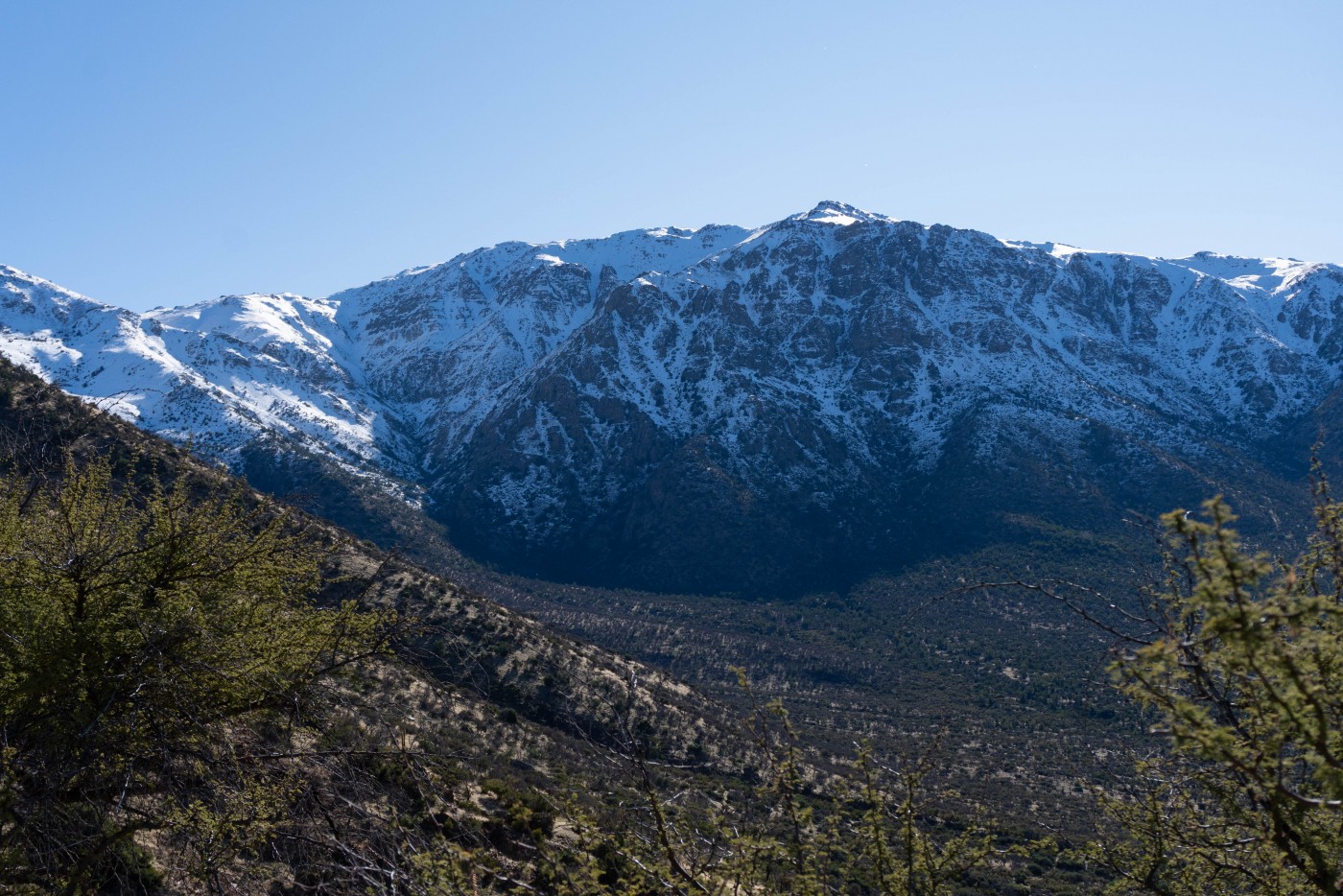 Cerro Ciénaga