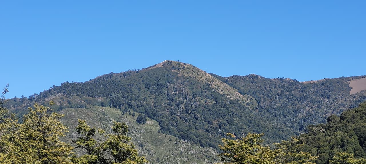 Cerro Malalcahuello
