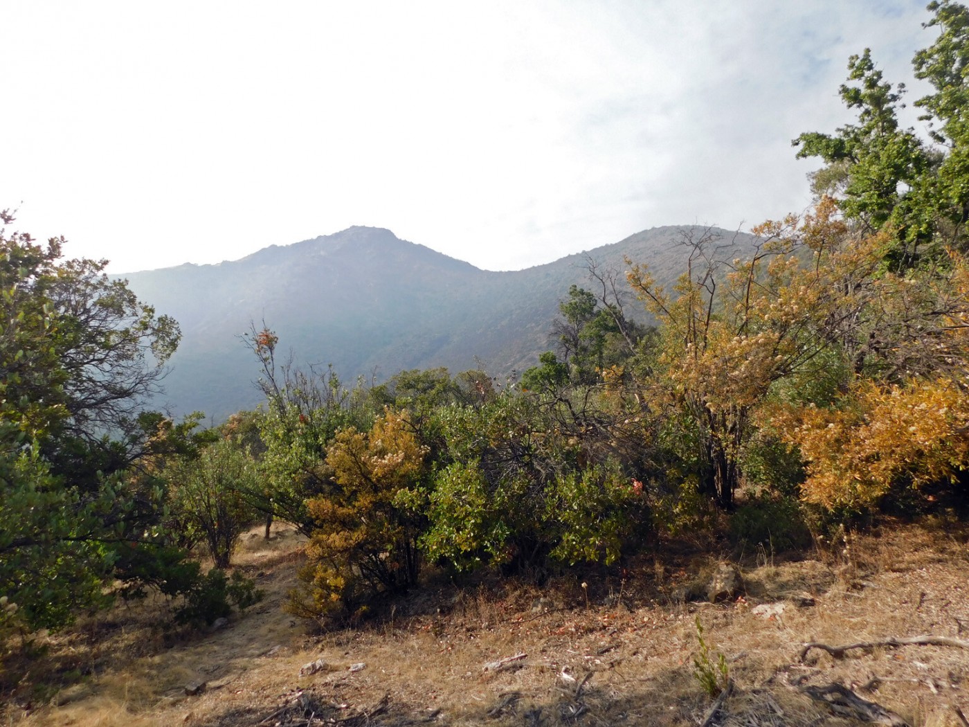 Cerro San Pancho