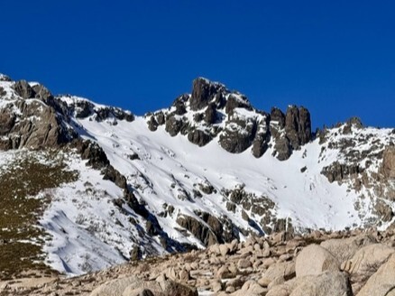 Pico Negro (Maule)