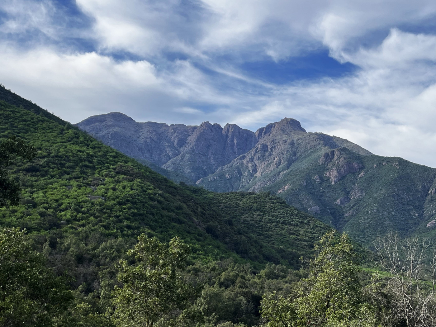 Cerro Caquicito