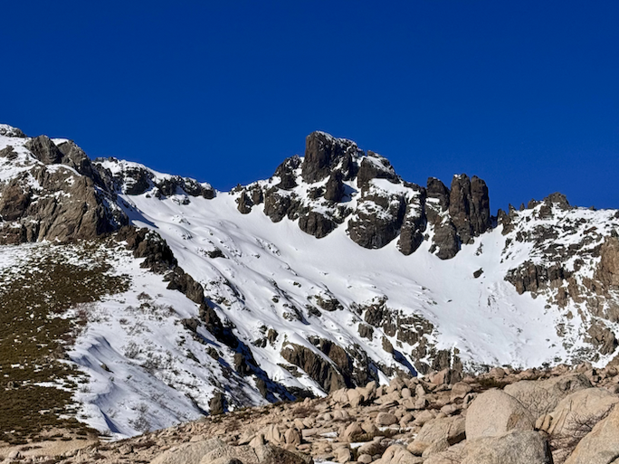 Pico Negro (Maule)