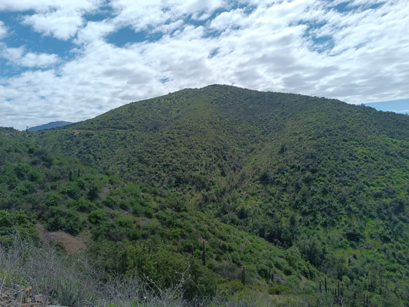 Cerro Las Minas