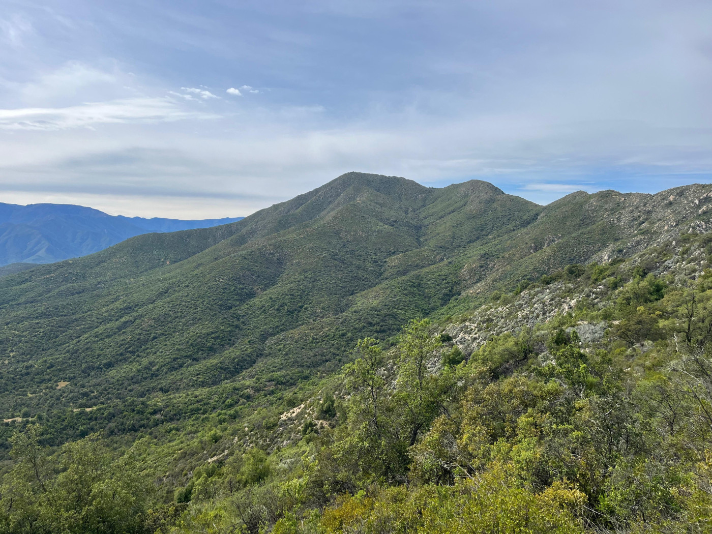 Cerro El Álamo