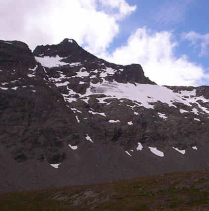 Pico 1357