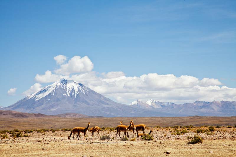 Volcán Tacora