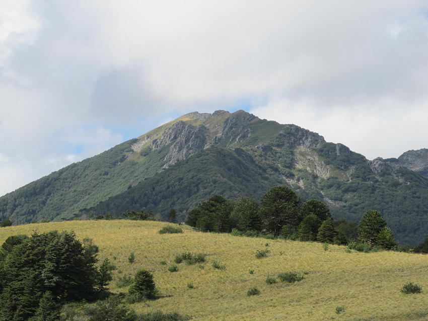 Cerro San Sebastián