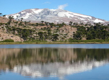 Volcán Copahue