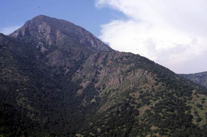 Agua del Palo