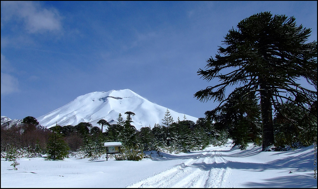 Volcán Lonquimay