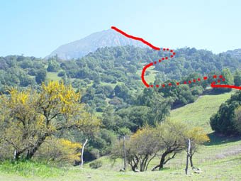El Cóndor
