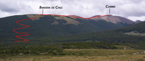 Trek oficial