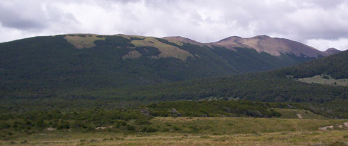 Cerro Bandera