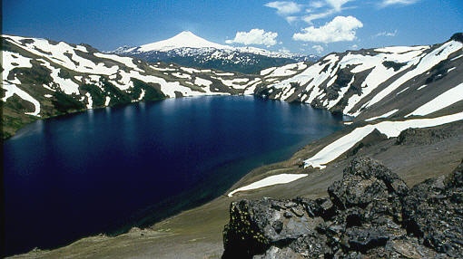Laguna