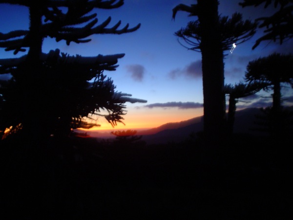 Portezuelo entre Tolhuaca y Lonquimay