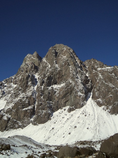 Aguja Nacimiento Invernal