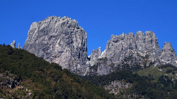 Peinetas desde el camino internacional