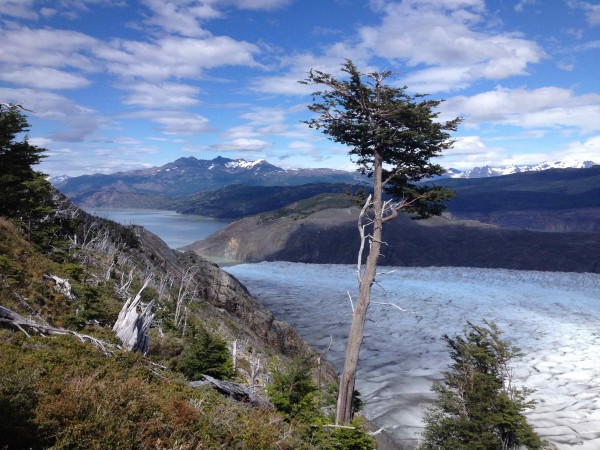 Glaciar Grey