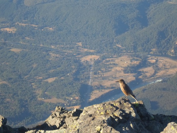 Vista desde el cerro La Pepa
