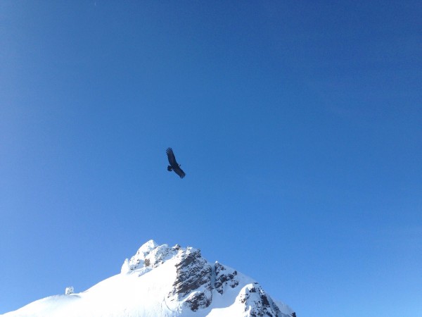 La despedida de la montaña