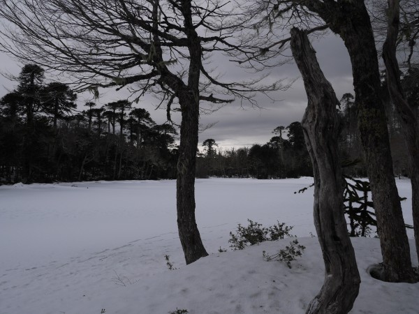 Laguna Negra congelada