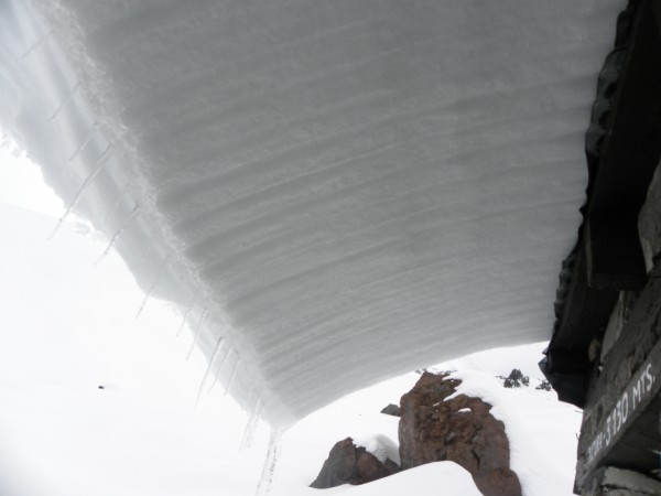 Techo de Nieve Plantat 2016-05 