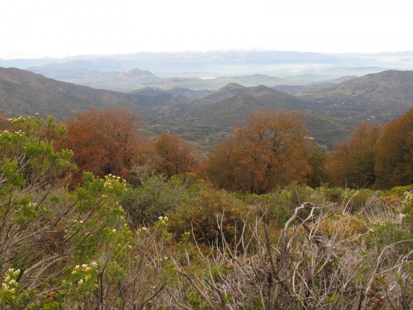 Hacia el Valle de Caleu