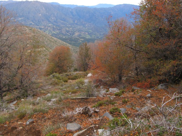Ladera Sur Otoñal del Punta Imán