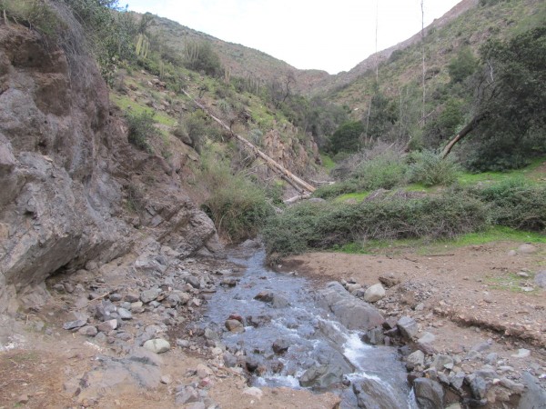 Quebrada de los Potrerillos