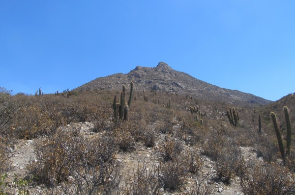 Cara Norte El Carmelo