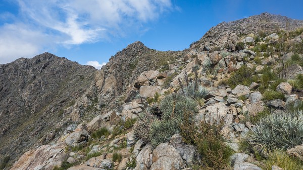 Cara este C° Las Vizcachas