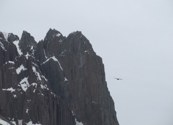 Punta Zanzi y Cóndor