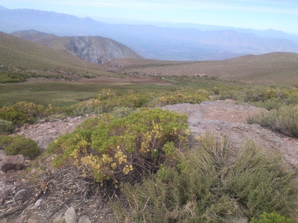 bellas vista del paisaje que nos rodea
