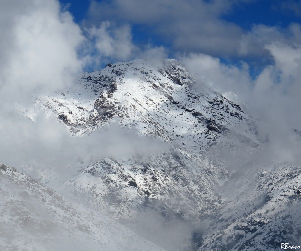Papagayo nevado entre nubes