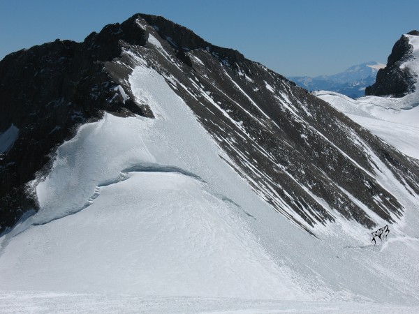 Littoria desde acarreo Plomo