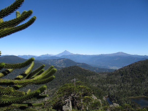 Vista hacia el Lanín