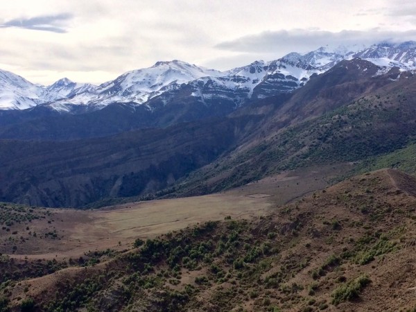 Primer-avistamiento-de-los-llanos