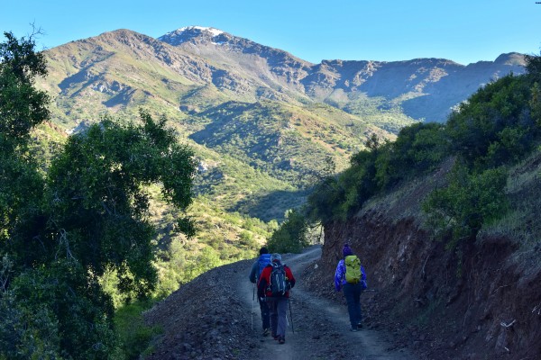 Vista de la ladera Sur