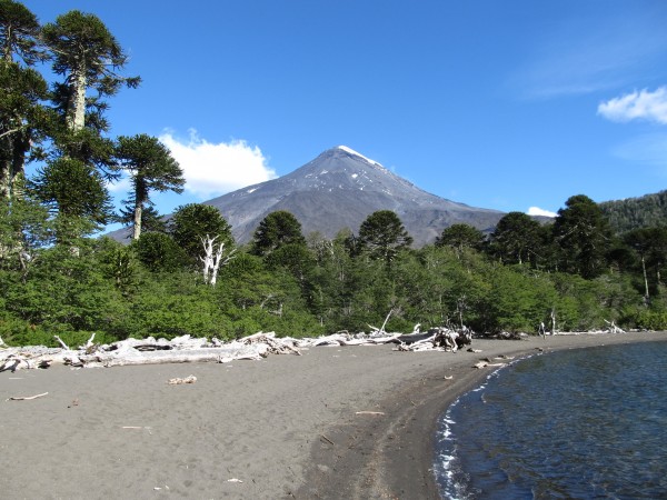 Volcán Lanín desde Laguna Huinfiuca