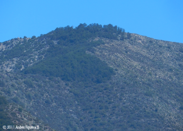 Alto del Llivi Llivi